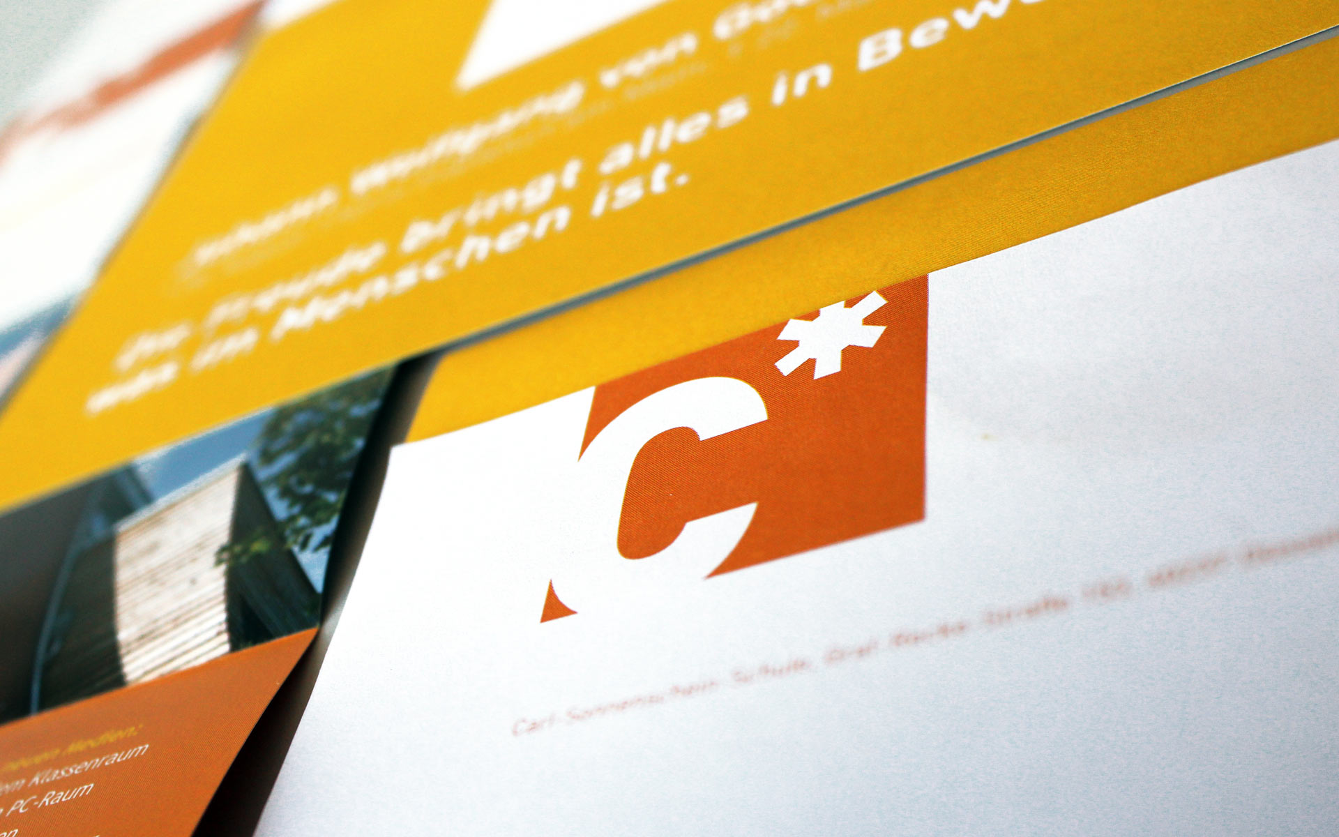 Carl Sonnenschein Schule Corporate Design, Closeup Logotype