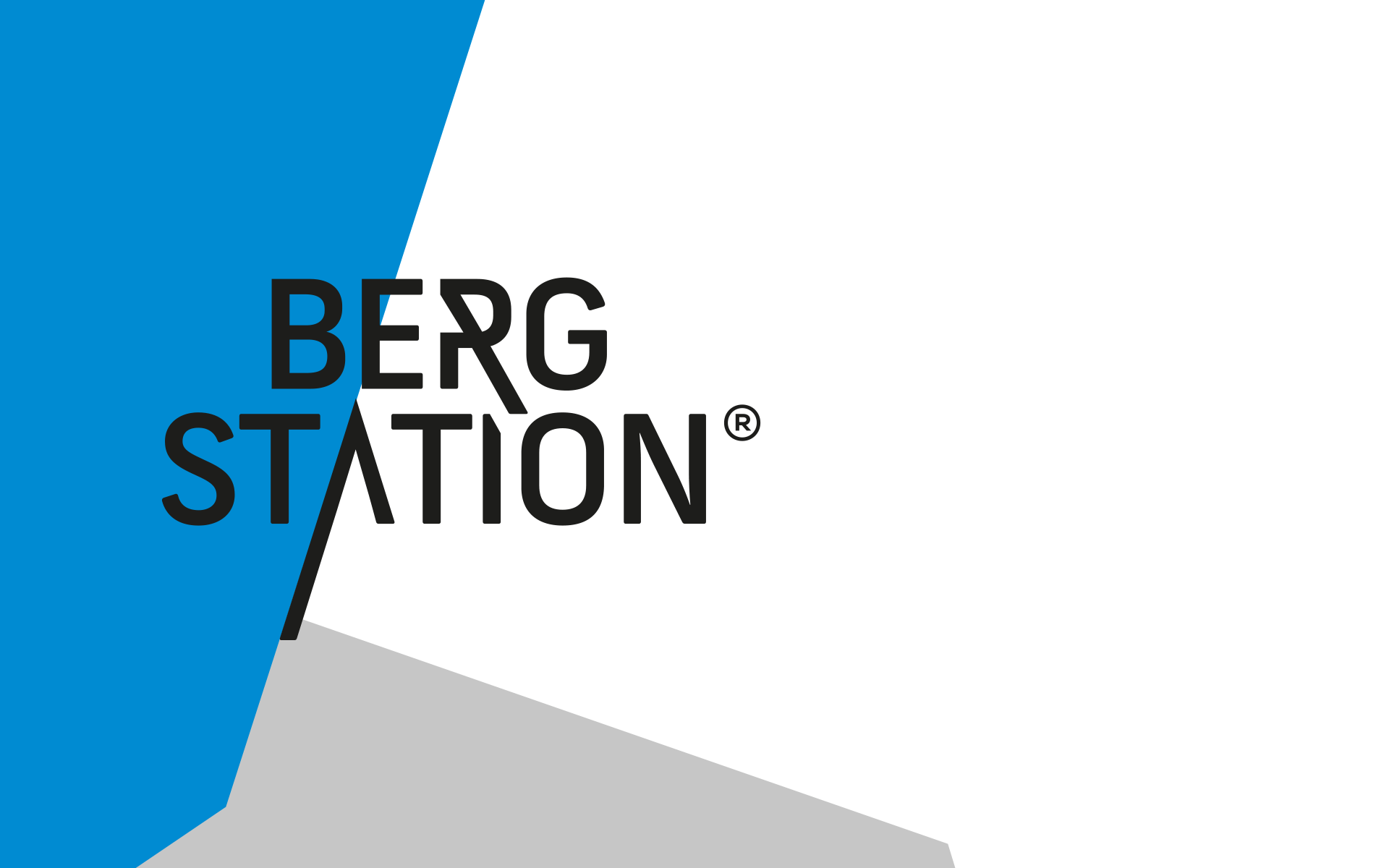 Bergstation Corporate Design, Logo und Formensprache